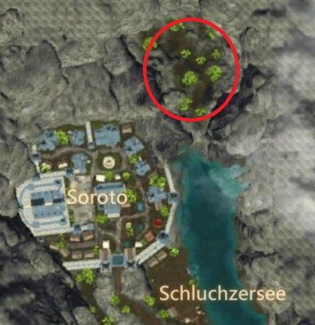 Hochlandhorndrache-map.jpg