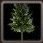 Baum mit Lichtern-icon.jpg